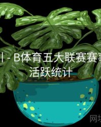 操作指引 - B体育五大联赛赛事评论区活跃统计