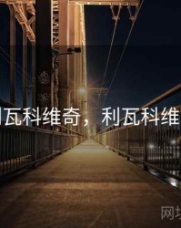 利瓦科维奇，利瓦科维奇