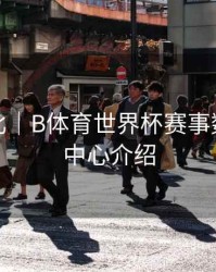 历史对比｜B体育世界杯赛事数据统计中心介绍