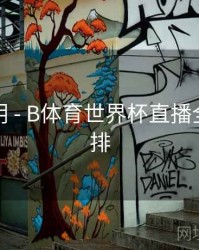 设置说明 - B体育世界杯直播全赛程安排