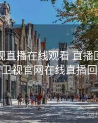 东方卫视直播在线观看 直播回放，东方卫视官网在线直播回放