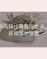 新加坡乒乓球比赛赛况如何，新加坡乒乓球世锦赛