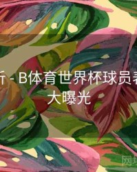 趋势分析 - B体育世界杯球员表现数据大曝光