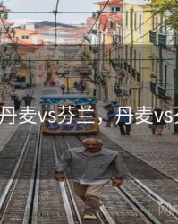 欧预赛_丹麦vs芬兰，丹麦vs芬兰全场