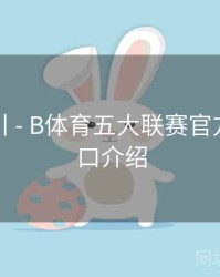 操作指引 - B体育五大联赛官方数据接口介绍