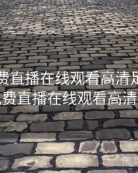 雨燕免费直播在线观看高清足球，雨燕免费直播在线观看高清足球