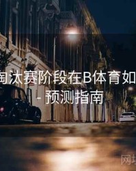 世界杯淘汰赛阶段在B体育如何观看？ - 预测指南