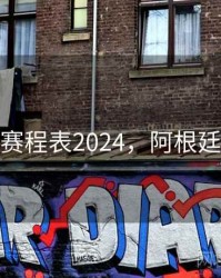 阿根廷赛程表2024，阿根廷赛程ds