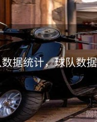 球队数据统计，球队数据排名