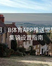 设置说明｜B体育APP推送世界杯进球集锦设置指南