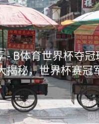 精彩推荐 - B体育世界杯夺冠球队数据大揭秘，世界杯赛冠军