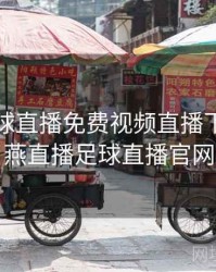 雨燕足球直播免费视频直播下载，雨燕直播足球直播官网