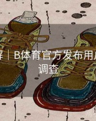 玩法详解｜B体育官方发布用户满意度调查