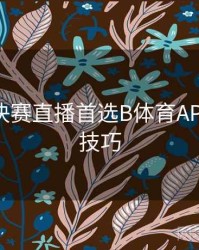 世界杯决赛直播首选B体育APP - 直播技巧