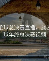 2021羽毛球总决赛直播，2021年羽毛球年终总决赛视频
