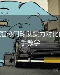 B体育欧冠热门球队实力对比解析｜新手教学