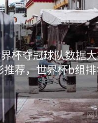 B体育世界杯夺冠球队数据大揭秘 - 精彩推荐，世界杯b组排名