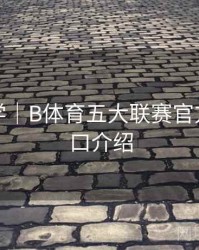 玩法教学｜B体育五大联赛官方数据接口介绍