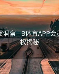 用户习惯洞察 - B体育APP会员专属特权揭秘