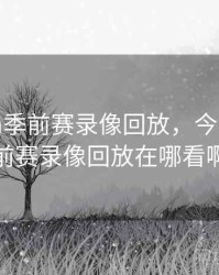 今日nba季前赛录像回放，今日nba季前赛录像回放在哪看啊