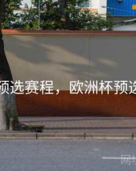 欧洲杯预选赛程，欧洲杯预选赛情况