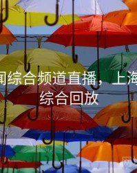 上海新闻综合频道直播，上海stv新闻综合回放
