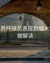 B体育世界杯球员表现数据大曝光 - 数据解读