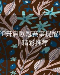 B体育APP开启欧冠赛事提醒功能步骤｜精彩推荐