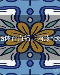 雨燕nba体育直播，雨燕nba直播网