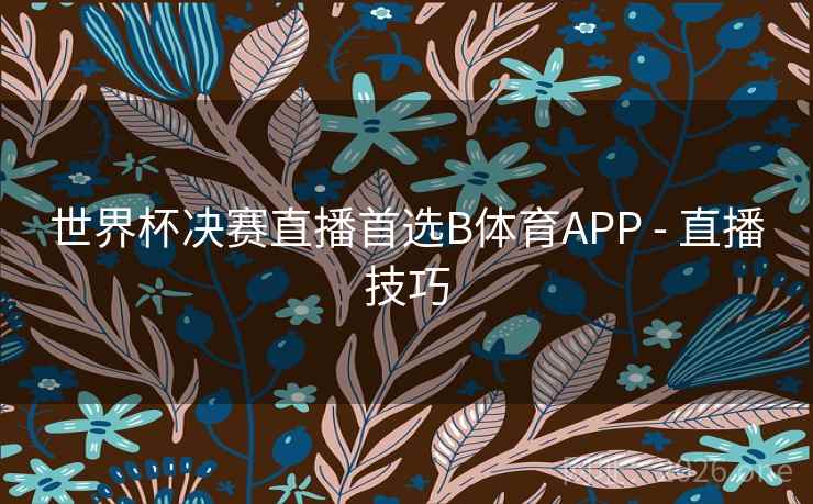 世界杯决赛直播首选B体育APP - 直播技巧