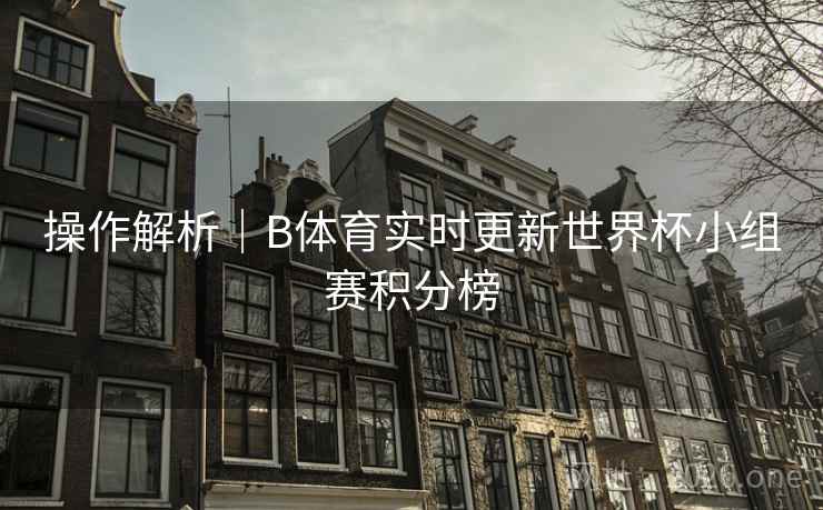 操作解析｜B体育实时更新世界杯小组赛积分榜