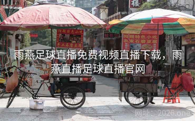 雨燕足球直播免费视频直播下载，雨燕直播足球直播官网
