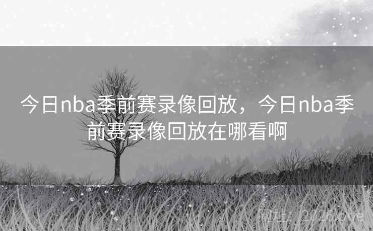 今日nba季前赛录像回放，今日nba季前赛录像回放在哪看啊