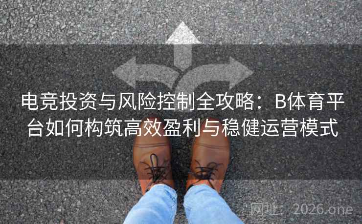 电竞投资与风险控制全攻略：B体育平台如何构筑高效盈利与稳健运营模式