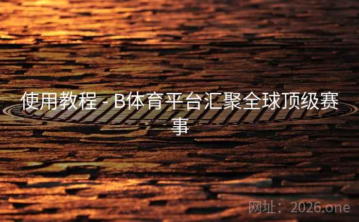 使用教程 - B体育平台汇聚全球顶级赛事