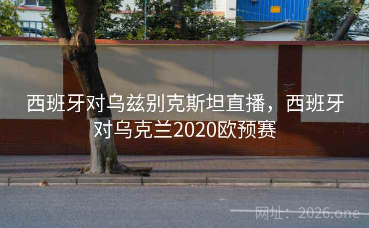 西班牙对乌兹别克斯坦直播，西班牙对乌克兰2020欧预赛