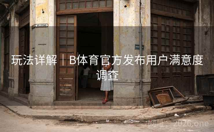 玩法详解｜B体育官方发布用户满意度调查