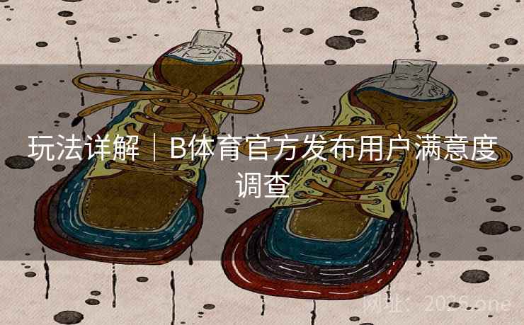 玩法详解｜B体育官方发布用户满意度调查