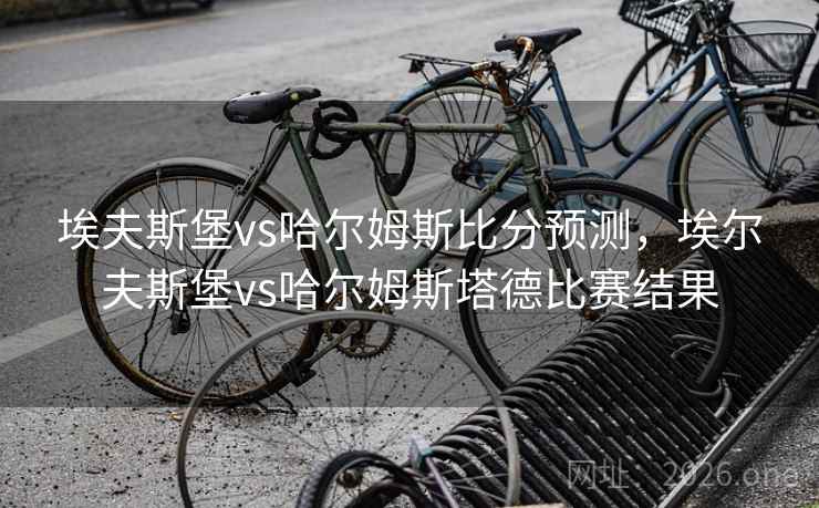 埃夫斯堡vs哈尔姆斯比分预测，埃尔夫斯堡vs哈尔姆斯塔德比赛结果