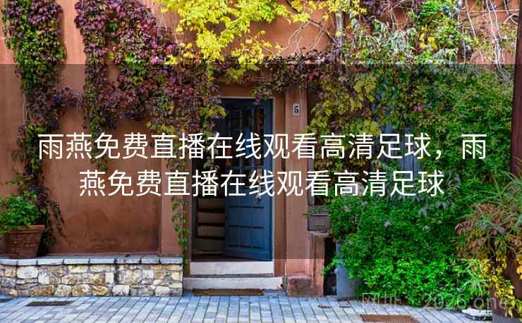 雨燕免费直播在线观看高清足球，雨燕免费直播在线观看高清足球