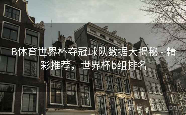 B体育世界杯夺冠球队数据大揭秘 - 精彩推荐，世界杯b组排名