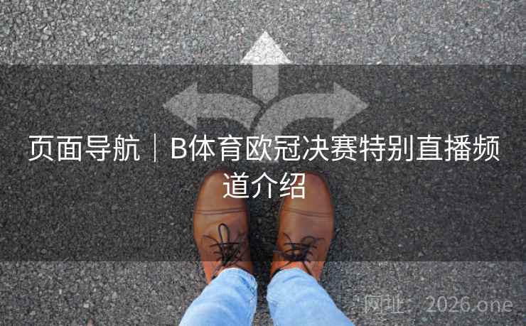 页面导航｜B体育欧冠决赛特别直播频道介绍