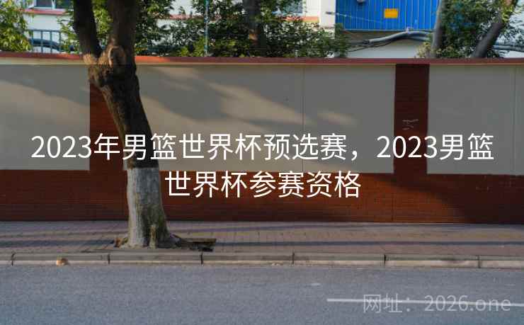 2023年男篮世界杯预选赛，2023男篮世界杯参赛资格