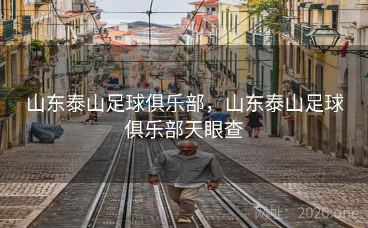 山东泰山足球俱乐部，山东泰山足球俱乐部天眼查