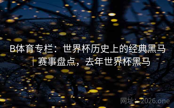 B体育专栏：世界杯历史上的经典黑马｜赛事盘点，去年世界杯黑马