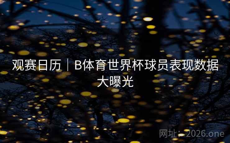 观赛日历｜B体育世界杯球员表现数据大曝光