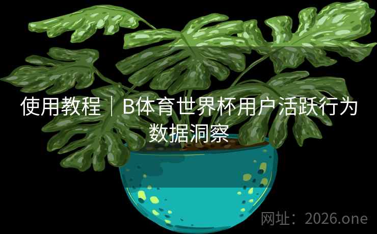 使用教程｜B体育世界杯用户活跃行为数据洞察