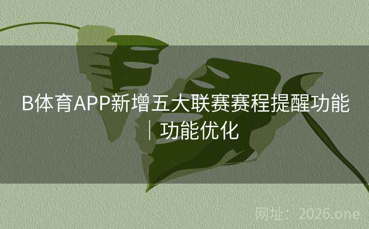 B体育APP新增五大联赛赛程提醒功能｜功能优化