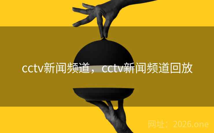 cctv新闻频道，cctv新闻频道回放