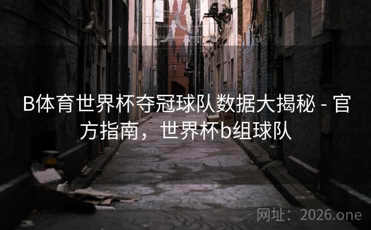 B体育世界杯夺冠球队数据大揭秘 - 官方指南，世界杯b组球队